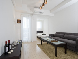 プレイアデ国領（内部1）